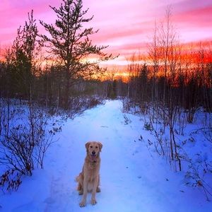 Meet your Posher, Stefanie